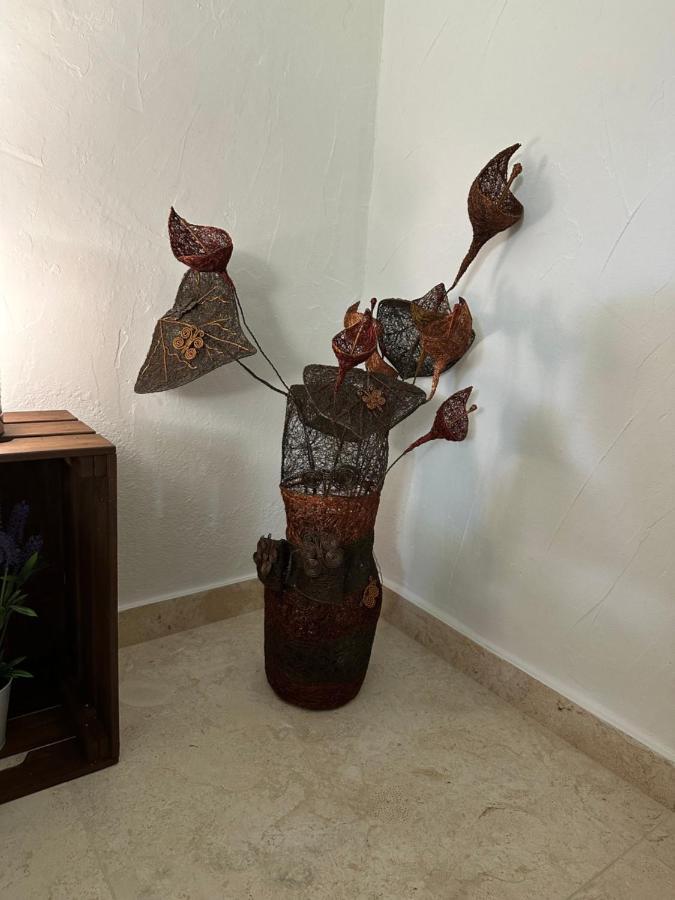 New Paradaise Art Gallery Hotel Xativa Exterior photo